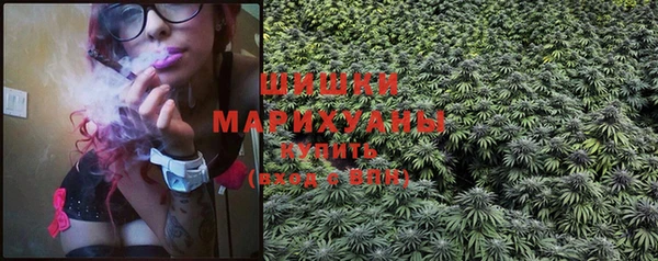 амф Ладушкин