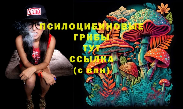 амф Ладушкин