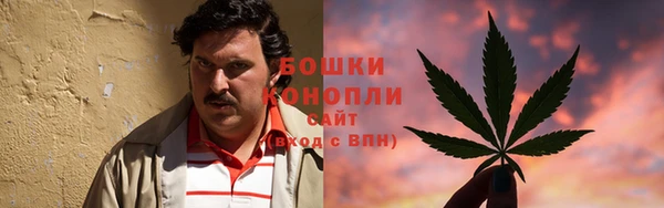 амф Ладушкин