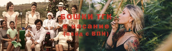 хмурый Лагань