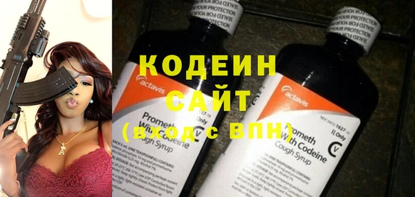хмурый Лагань