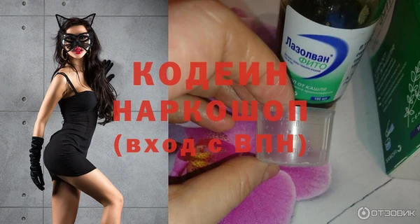 хмурый Лагань
