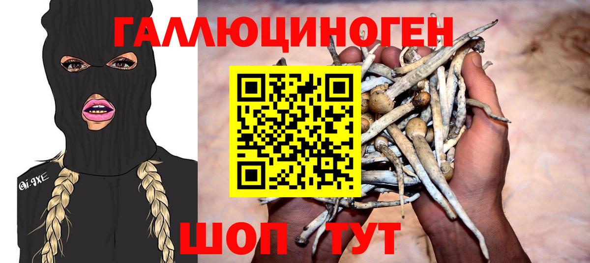 Псилоцибиновые грибы Psilocybe  Вход с VPN  купить закладку  Калуга 