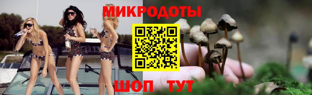 Галлюциногенные грибы прущие грибы Калуга